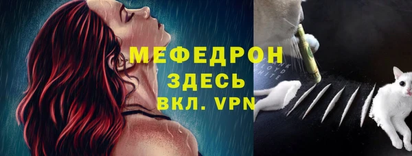 дмт Ельня