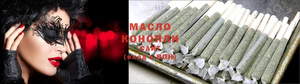 дмт Ельня