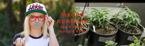 стаф Заводоуковск