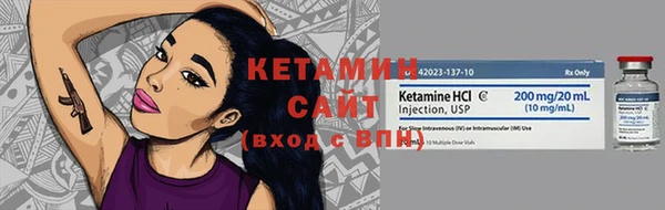 дмт Ельня