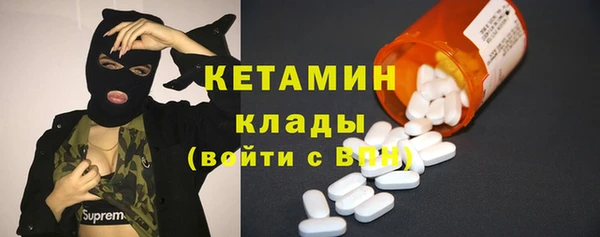 дмт Ельня
