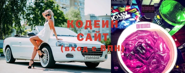 дмт Ельня