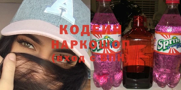 хмурый Елабуга