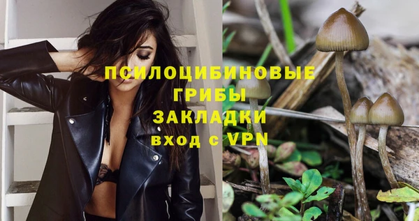 дмт Ельня