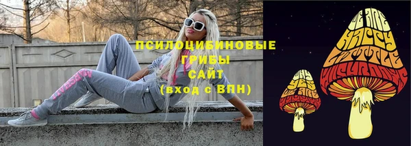 хмурый Елабуга