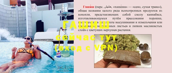 дмт Ельня
