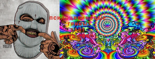 дмт Ельня