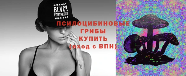 дмт Ельня
