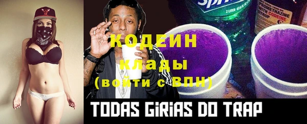 дмт Ельня
