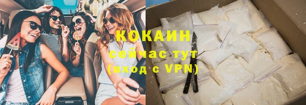 дмт Ельня