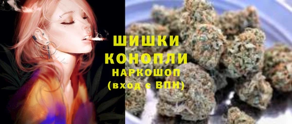 дмт Ельня