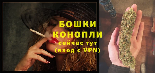 дмт Ельня