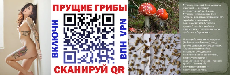 Галлюциногенные грибы ЛСД  Купить  Инсар 